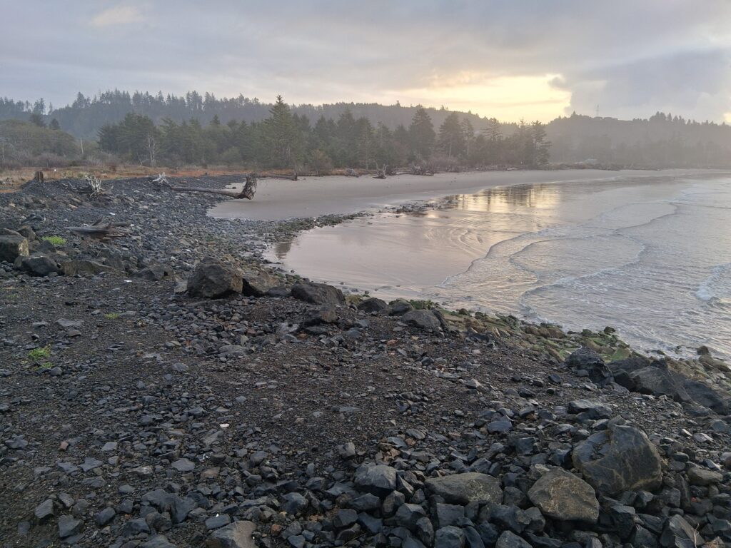 a rocky beach with a body of water and trees in the background (MyCoast AI)