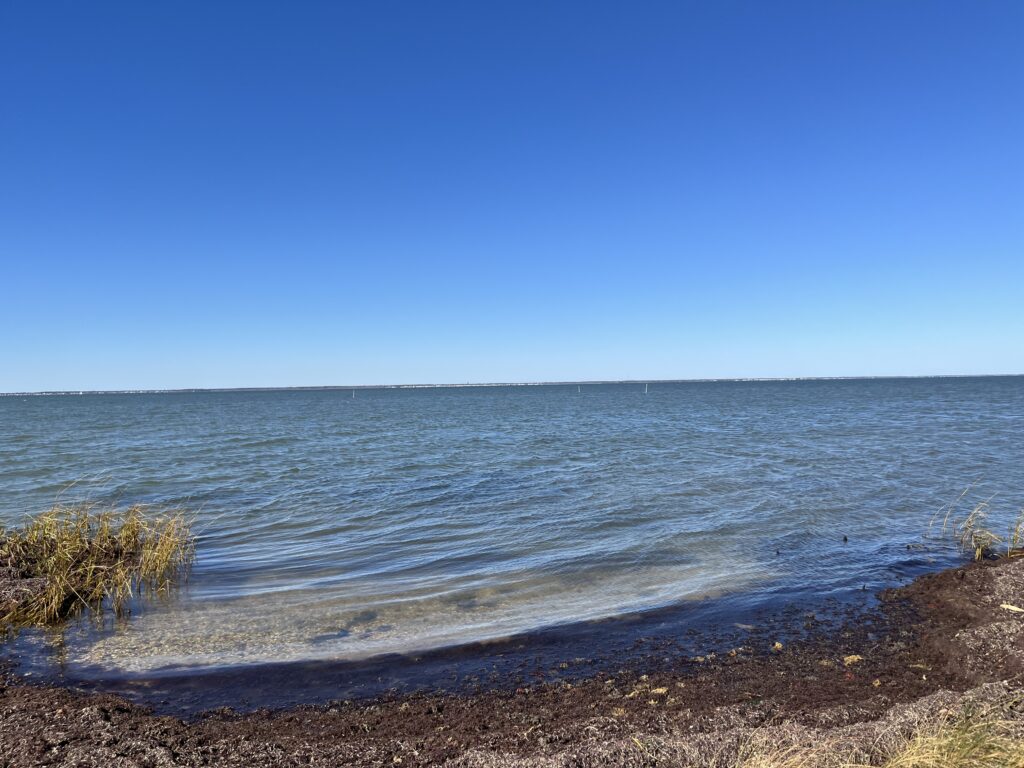a beach with a body of water (MyCoast AI)