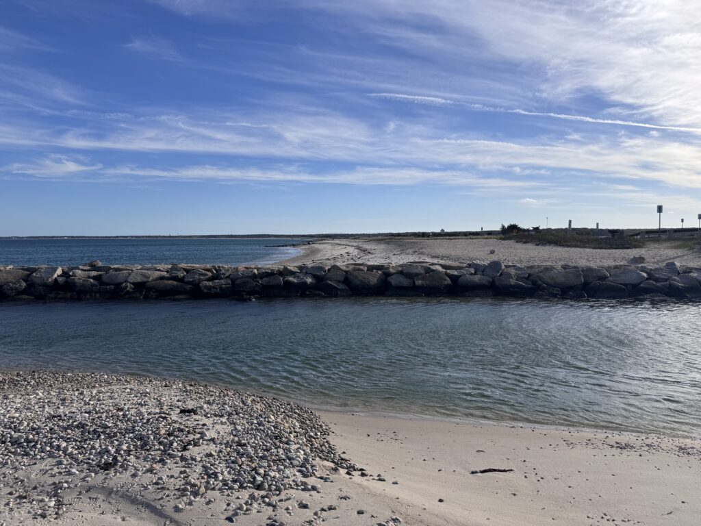 a rocky beach with a body of water in the background (MyCoast AI)