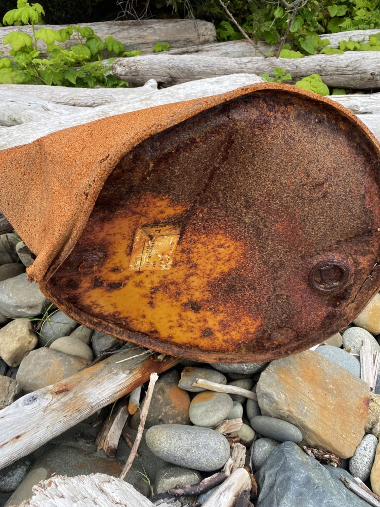 a large brown rock (MyCoast AI)