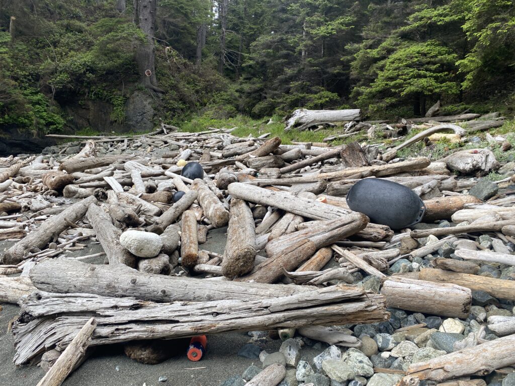 a pile of logs on a rocky beach (MyCoast AI)