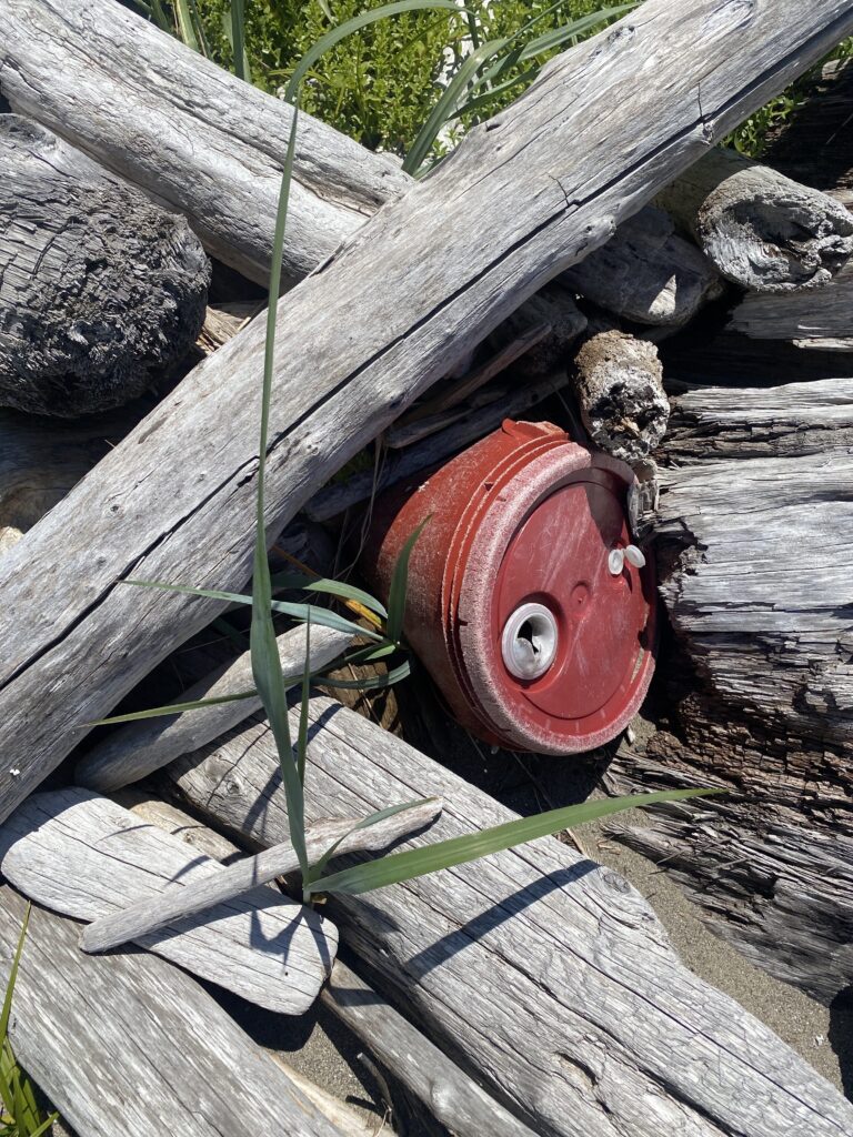 a red bucket on a wooden deck (MyCoast AI)