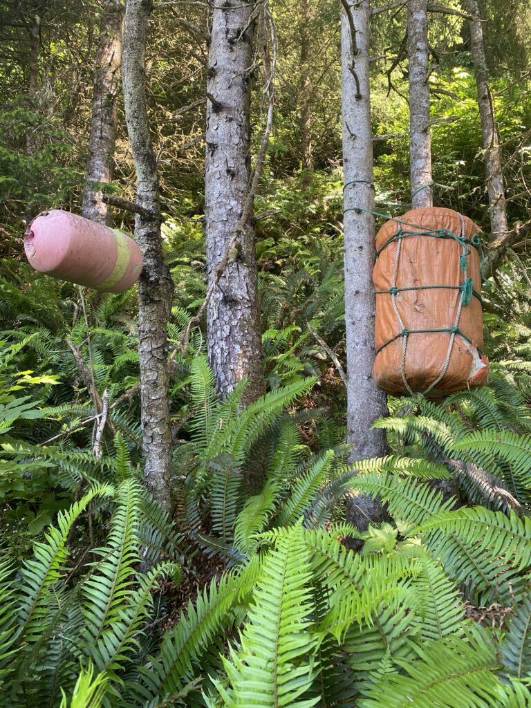 a bird feeder from a tree (MyCoast AI)