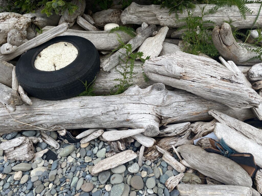 a pile of wood and logs (MyCoast AI)