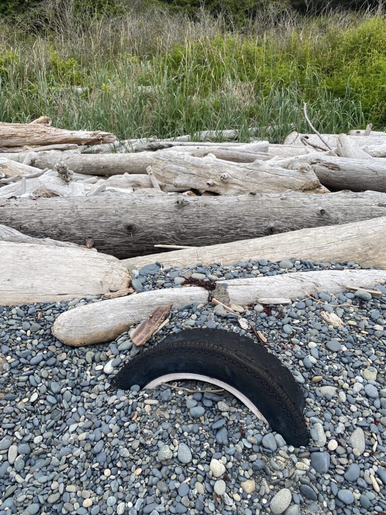 a pile of logs on a rocky ground (MyCoast AI)