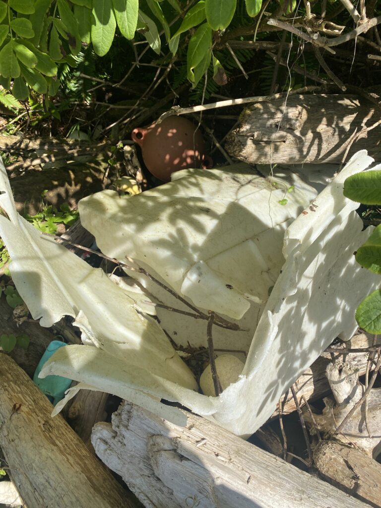 a person lying on a log (MyCoast AI)