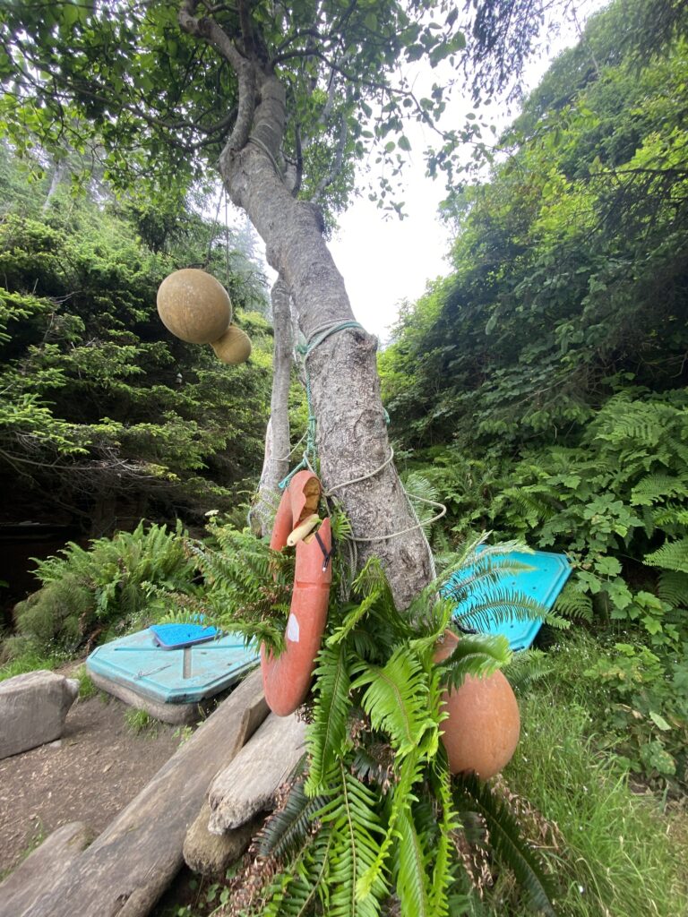 a person in a garden (MyCoast AI)