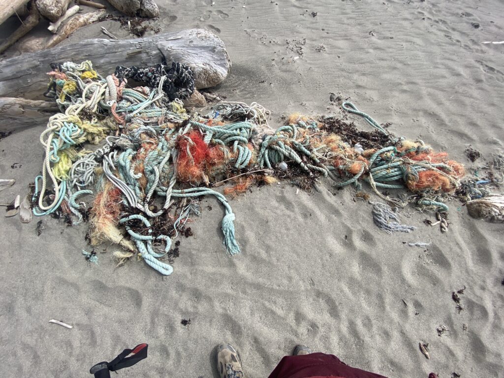 a pile of lobsters on the beach (MyCoast AI)