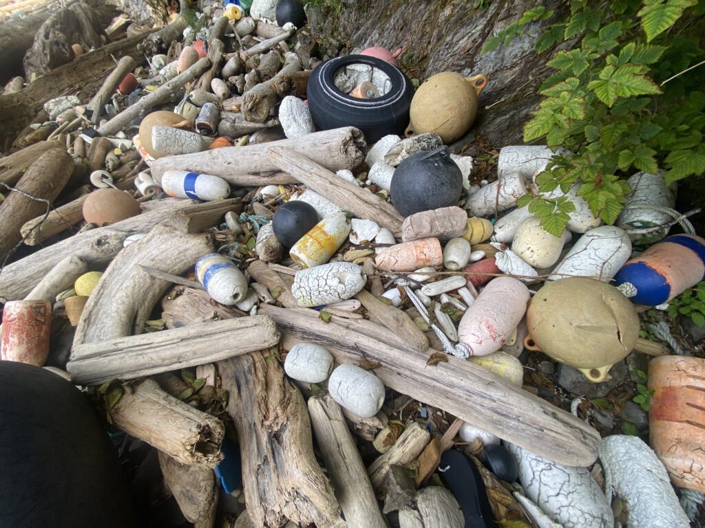 a pile of wood and rocks (MyCoast AI)