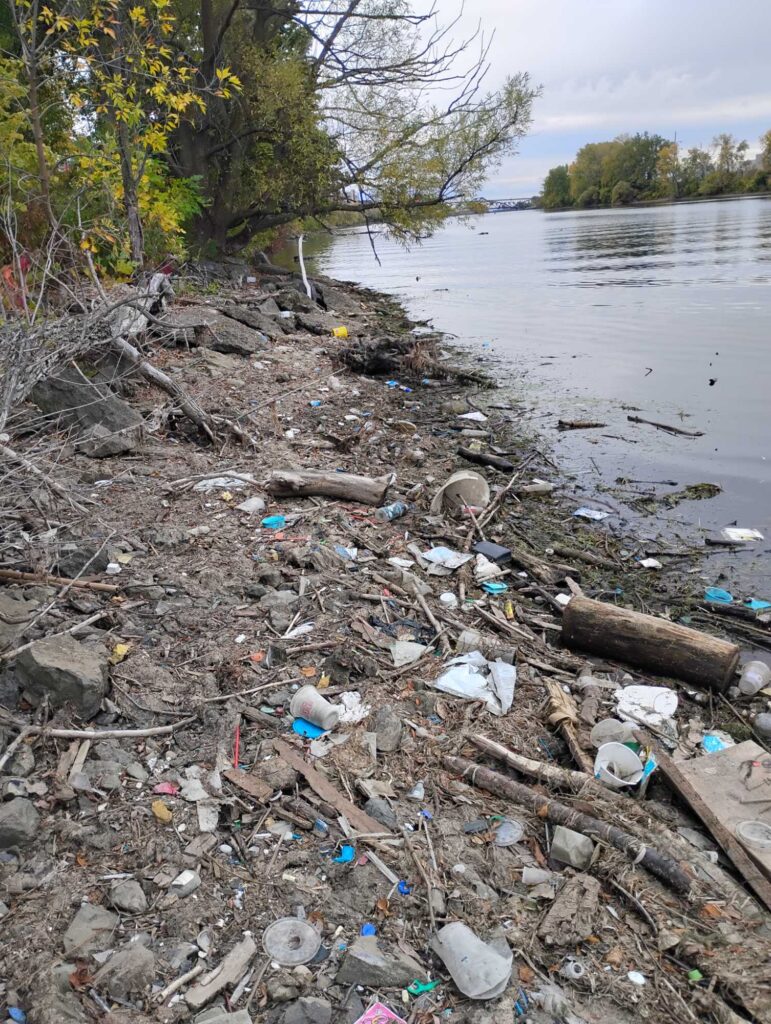 a river with trash on the side (MyCoast AI)