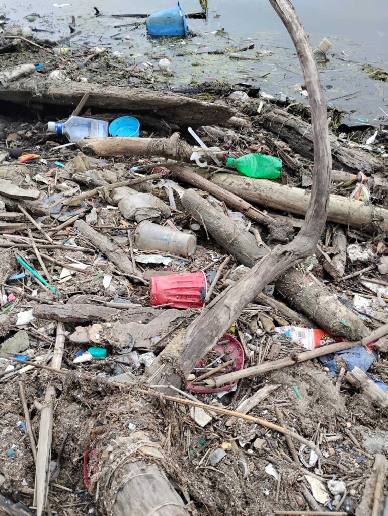 a pile of debris and debris by the water (MyCoast AI)