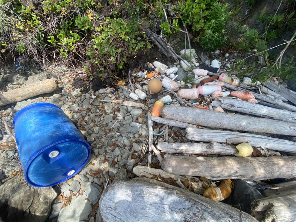 a blue frisbee on a pile of wood (MyCoast AI)