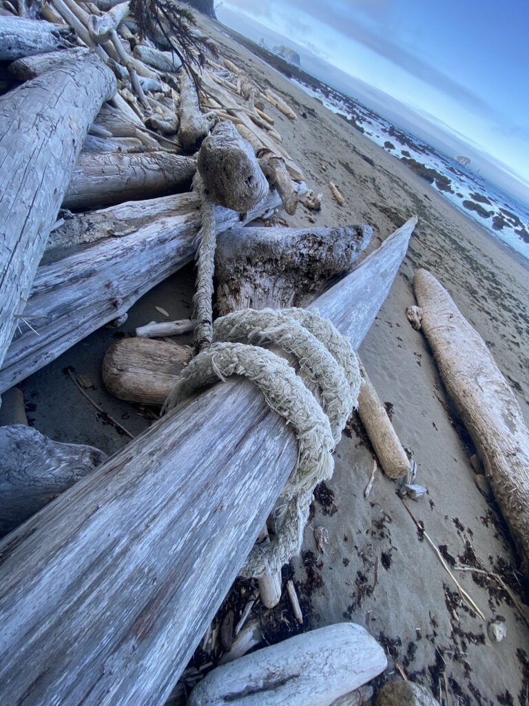 a pile of wood on a beach (MyCoast AI)