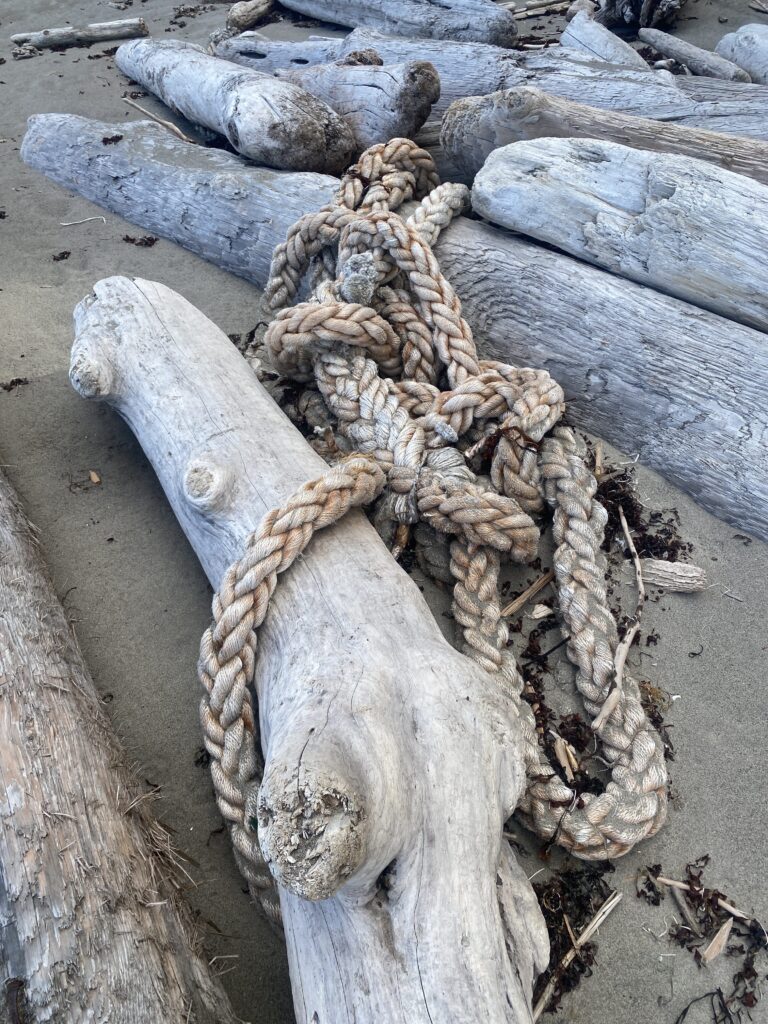 a group of snakes in a pile (MyCoast AI)