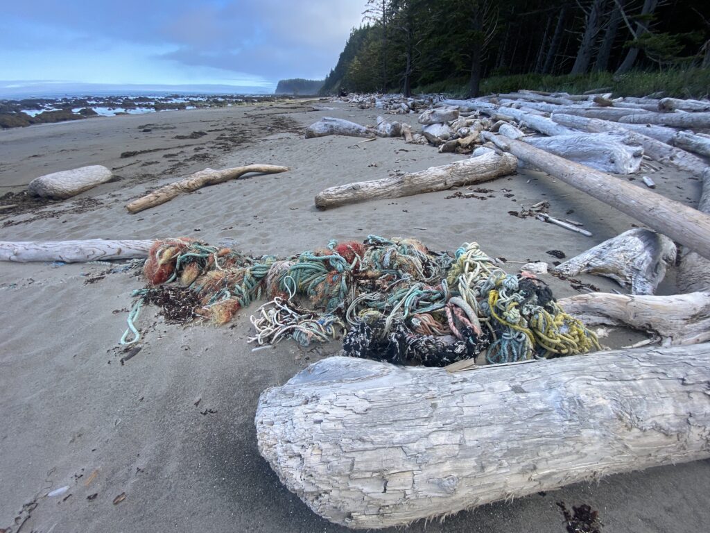 a pile of wood on a beach (MyCoast AI)