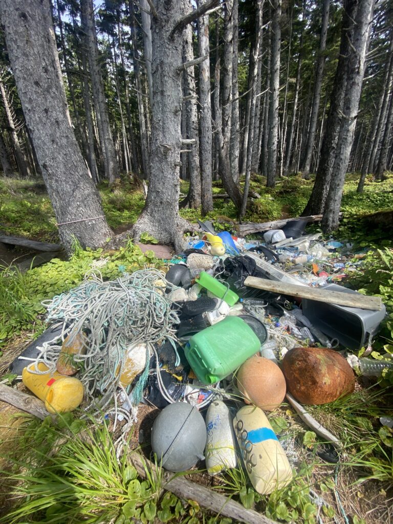 a pile of garbage in the woods (MyCoast AI)
