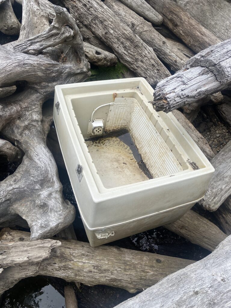 a white box on a tree (MyCoast AI)