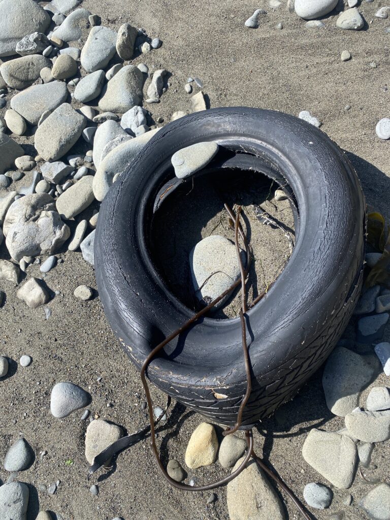 a black tire on rocks (MyCoast AI)