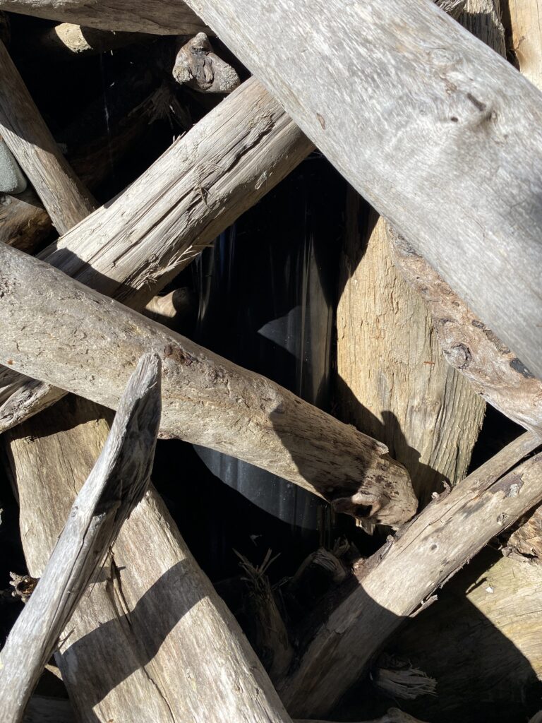 a wooden structure with a hole in it (MyCoast AI)