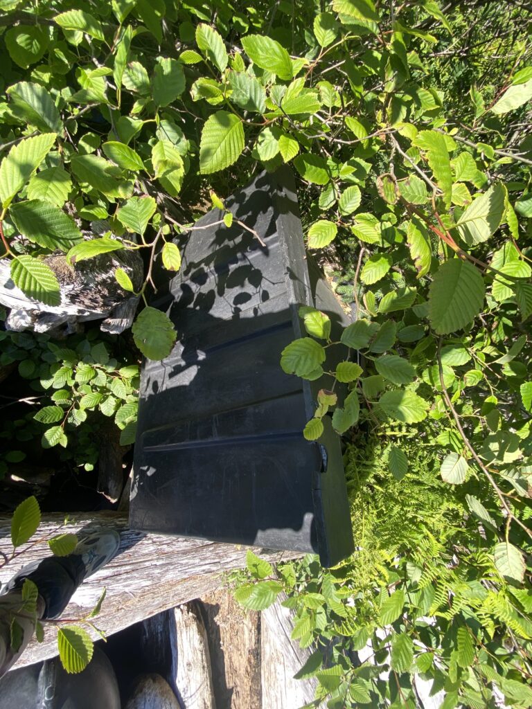 a stone structure surrounded by plants (MyCoast AI)