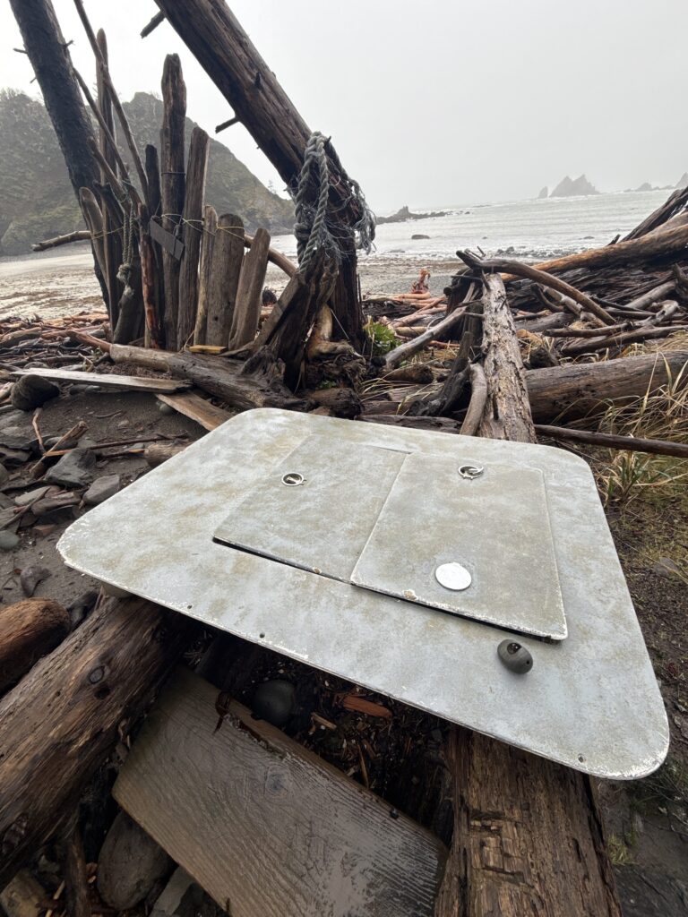 a pile of wood and sticks (MyCoast AI)