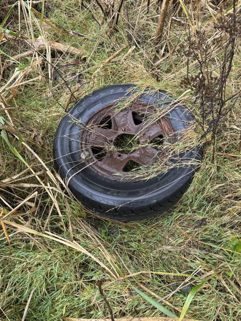a tire in the grass (MyCoast AI)