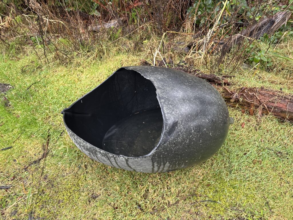 a black rock in the grass (MyCoast AI)