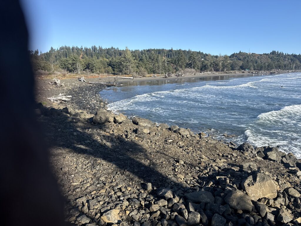 a rocky beach with trees in the background (MyCoast AI)