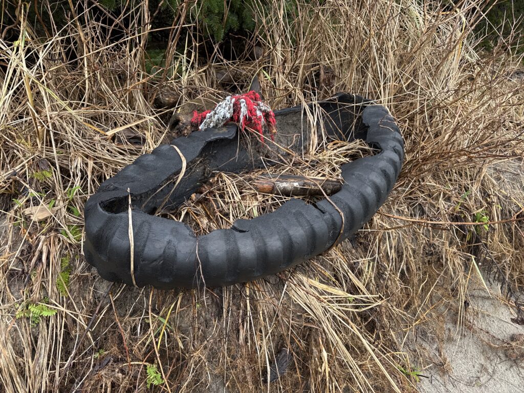 a black snake with red and white stripes on it's back (MyCoast AI)