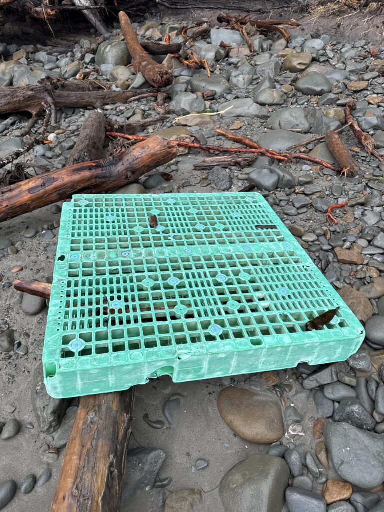a blue rectangular object on a rocky surface (MyCoast AI)