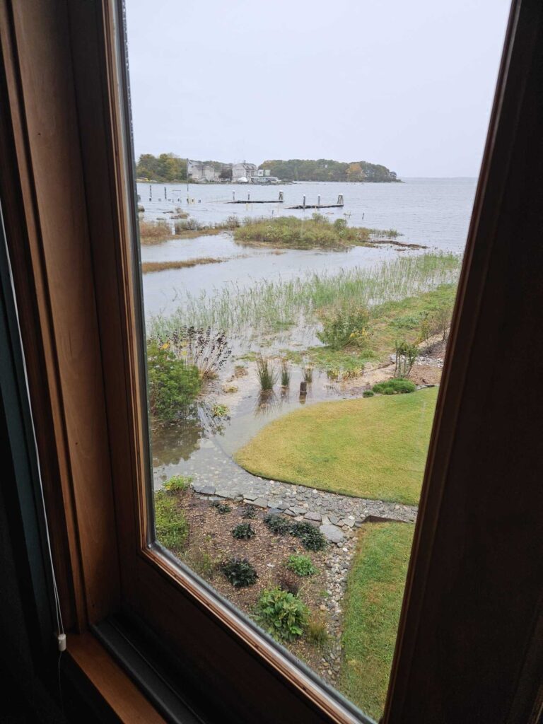 a view of a beach and ocean from a window (MyCoast AI)