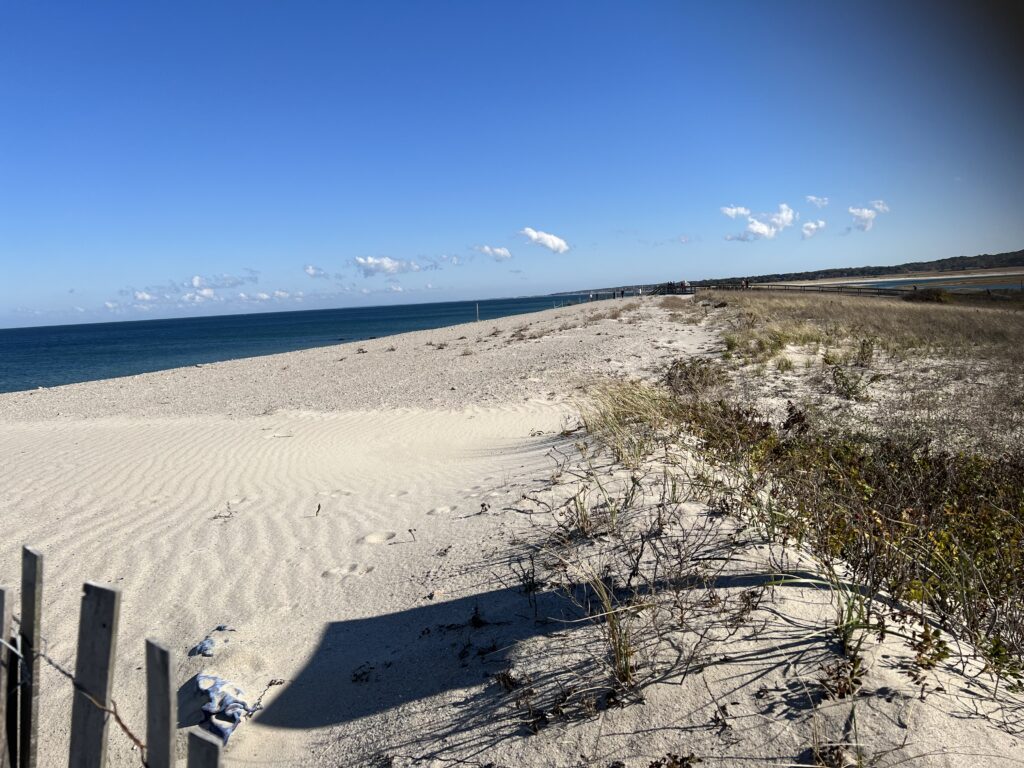 a sandy beach with a fence (MyCoast AI)