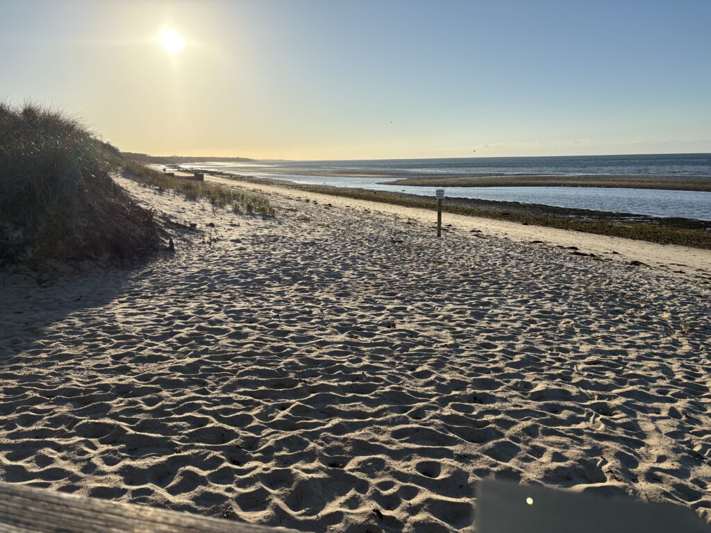 a sandy beach with a body of water in the background (MyCoast AI)
