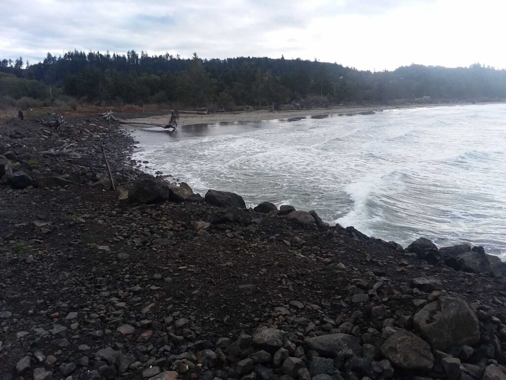 a rocky shore with a body of water and trees in the background (MyCoast AI)