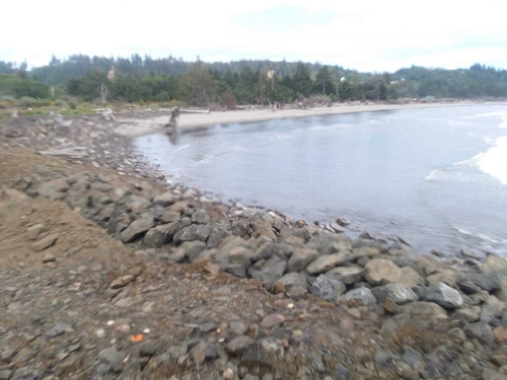 a rocky beach with trees in the background (MyCoast AI)