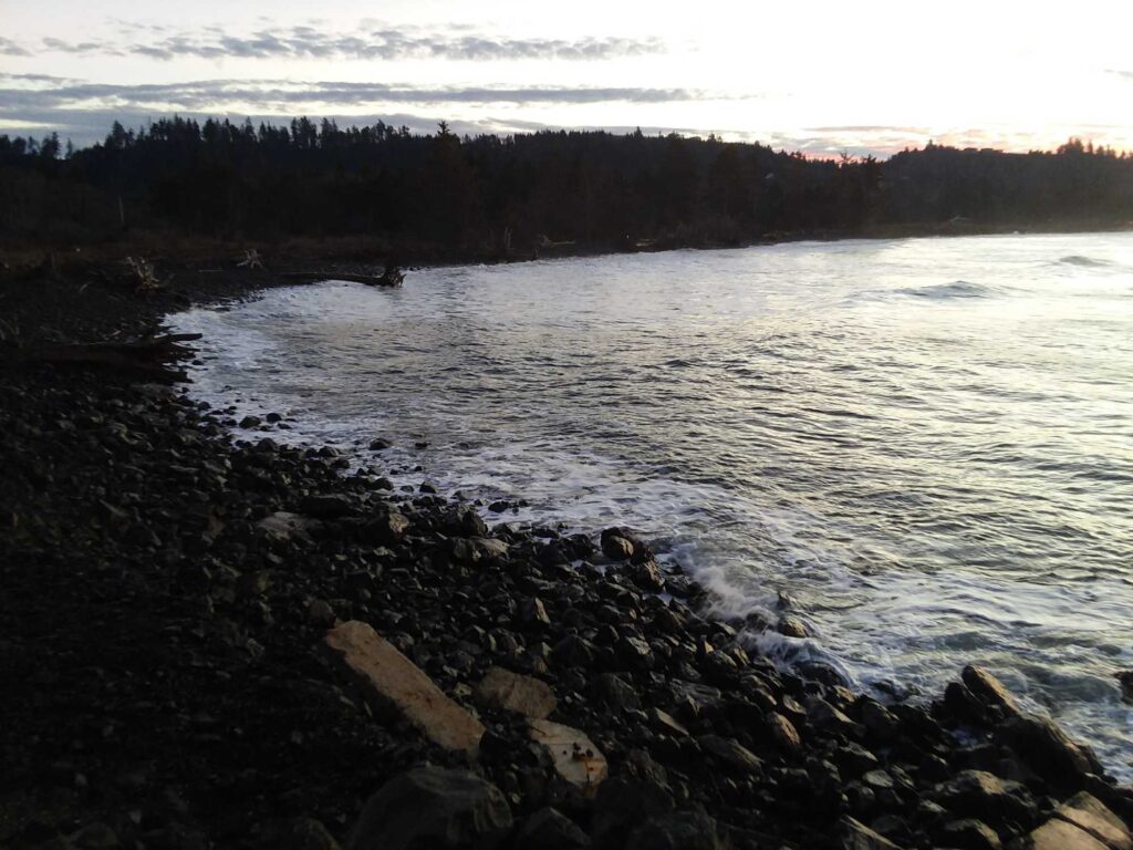 a rocky shore with a body of water and trees in the background (MyCoast AI)