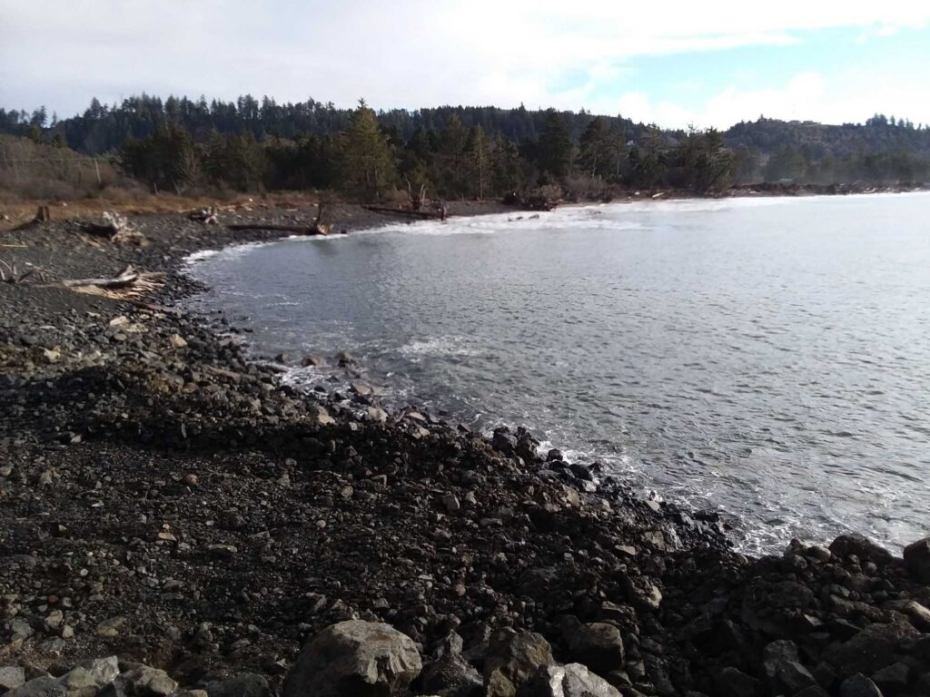 a rocky shore with a body of water and trees in the background (MyCoast AI)