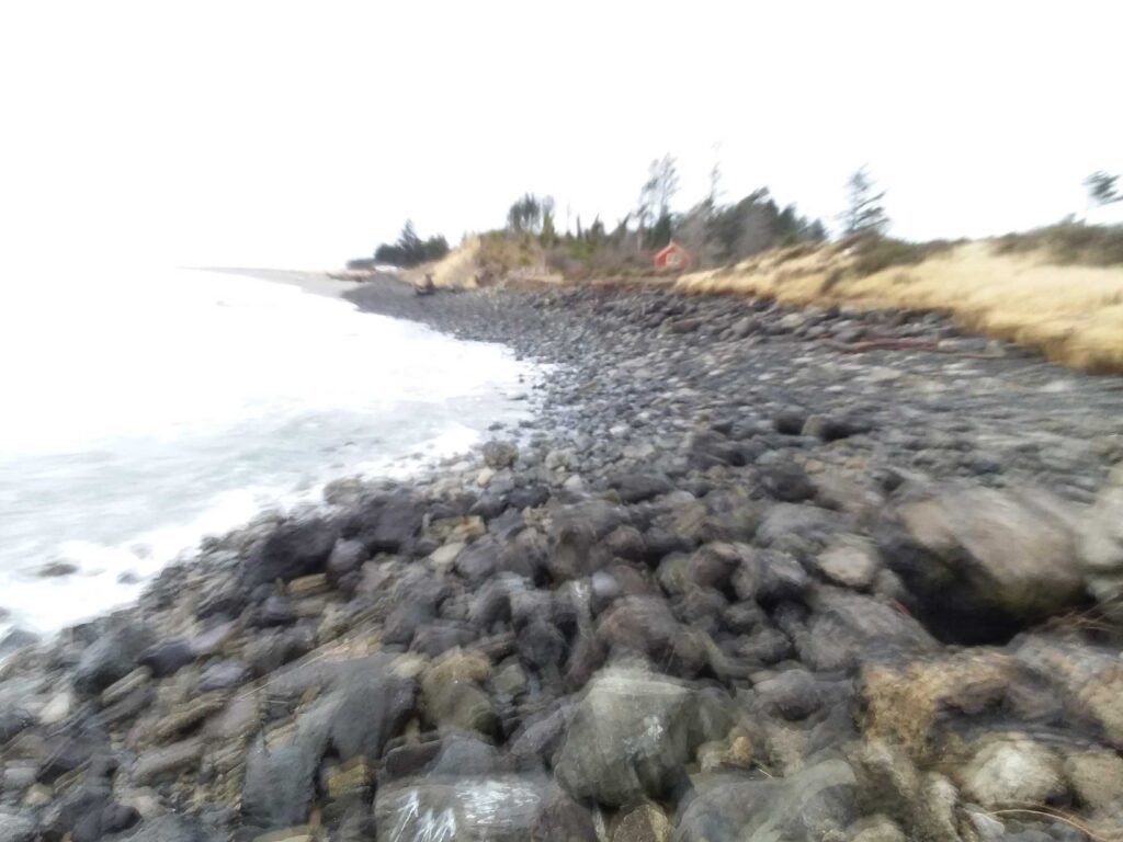 a rocky beach with trees (MyCoast AI)