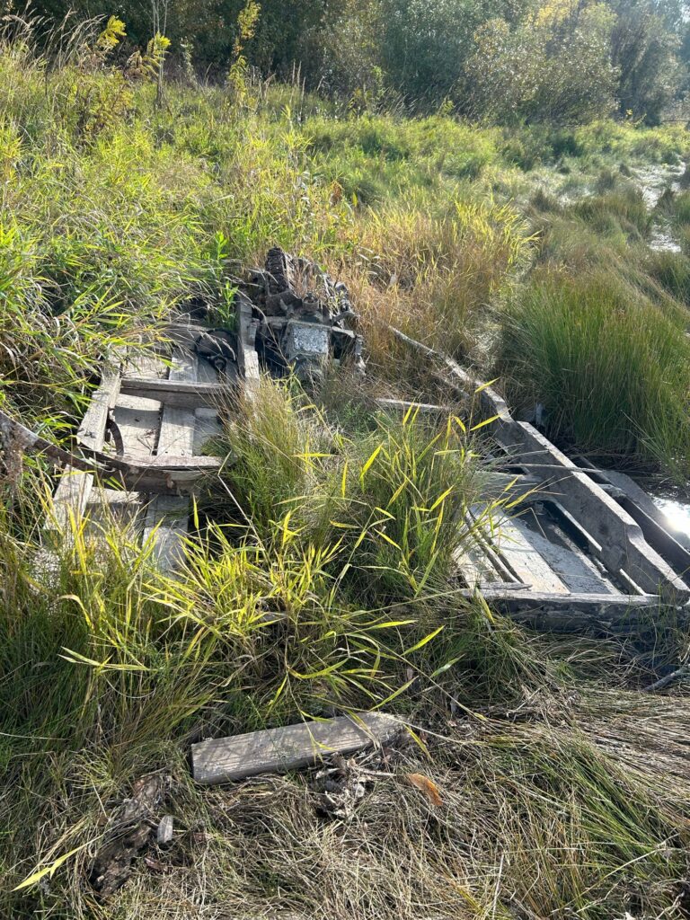 a wooden bridge over a stream (MyCoast AI)