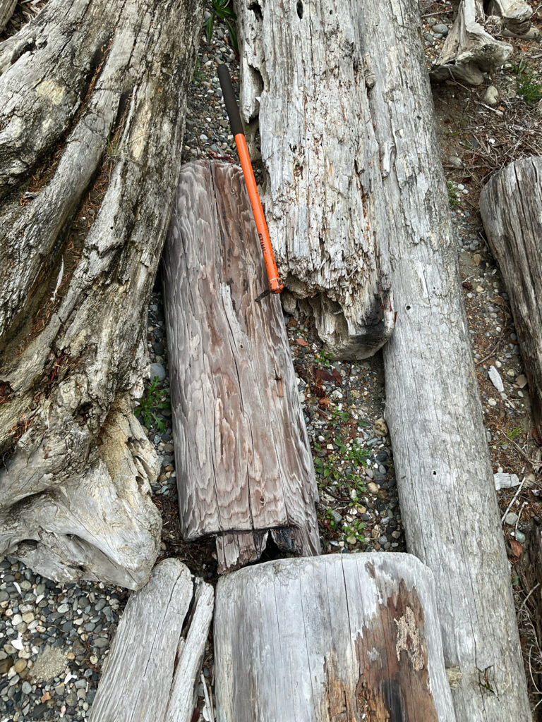 a tree stump with a stick stuck in it (MyCoast AI)
