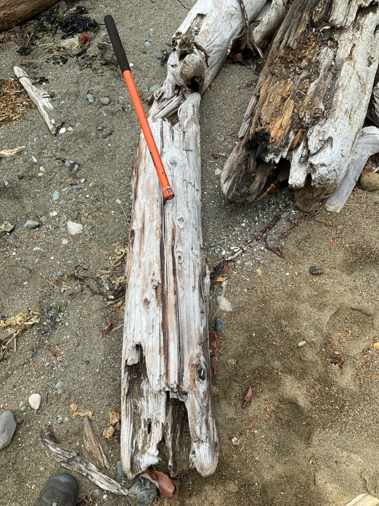 a knife on a tree stump (MyCoast AI)