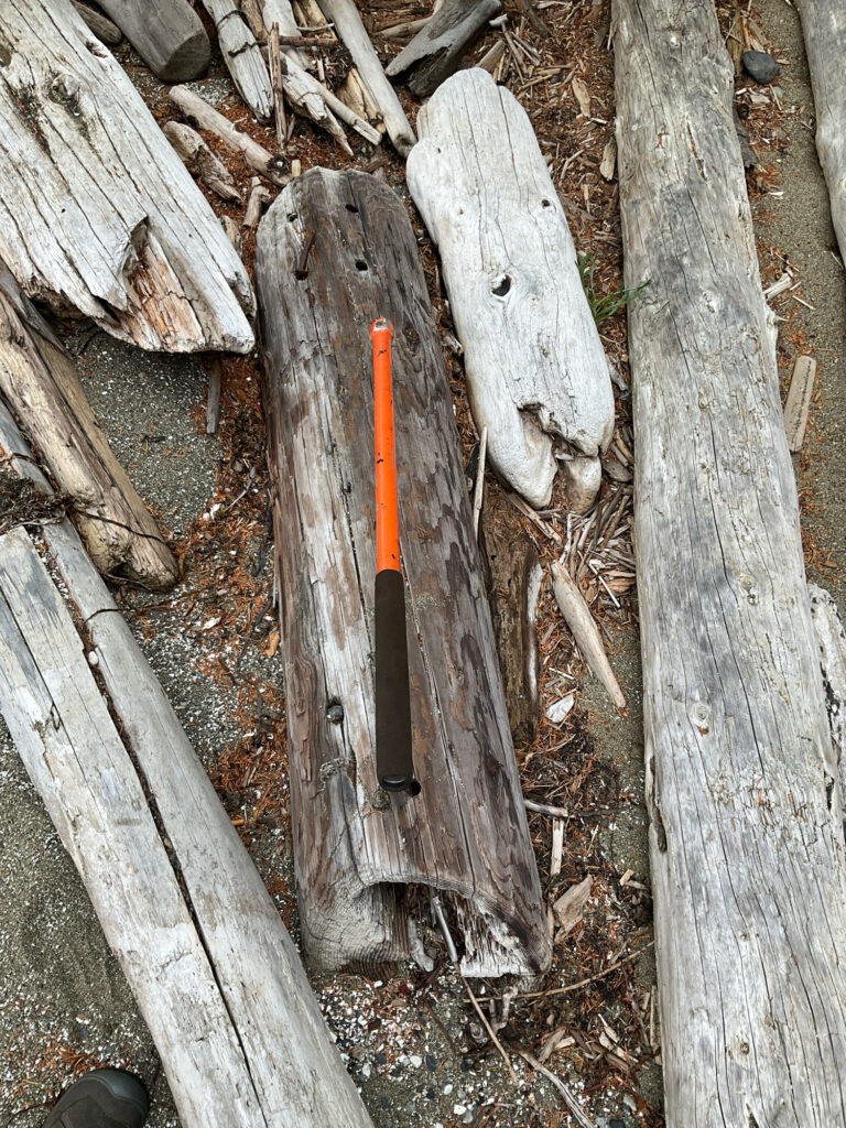 a wooden axe in a hole in a tree (MyCoast AI)