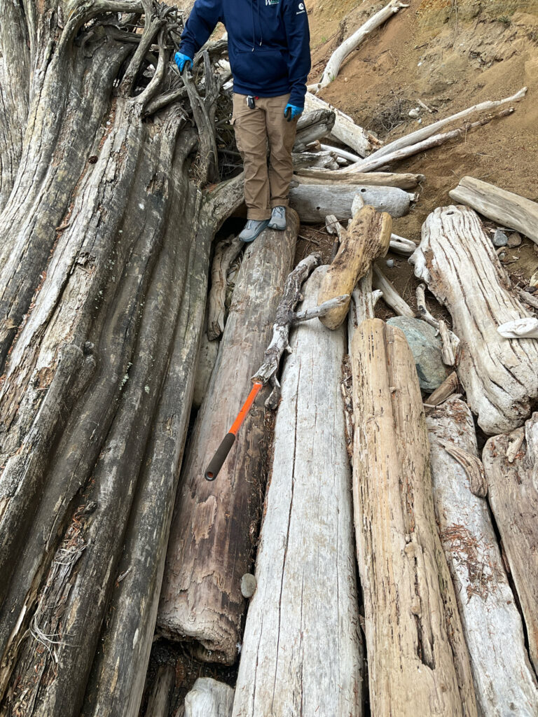 a person standing on a log (MyCoast AI)