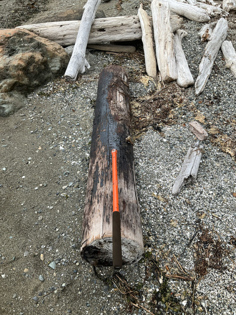 a wood axe on the ground (MyCoast AI)