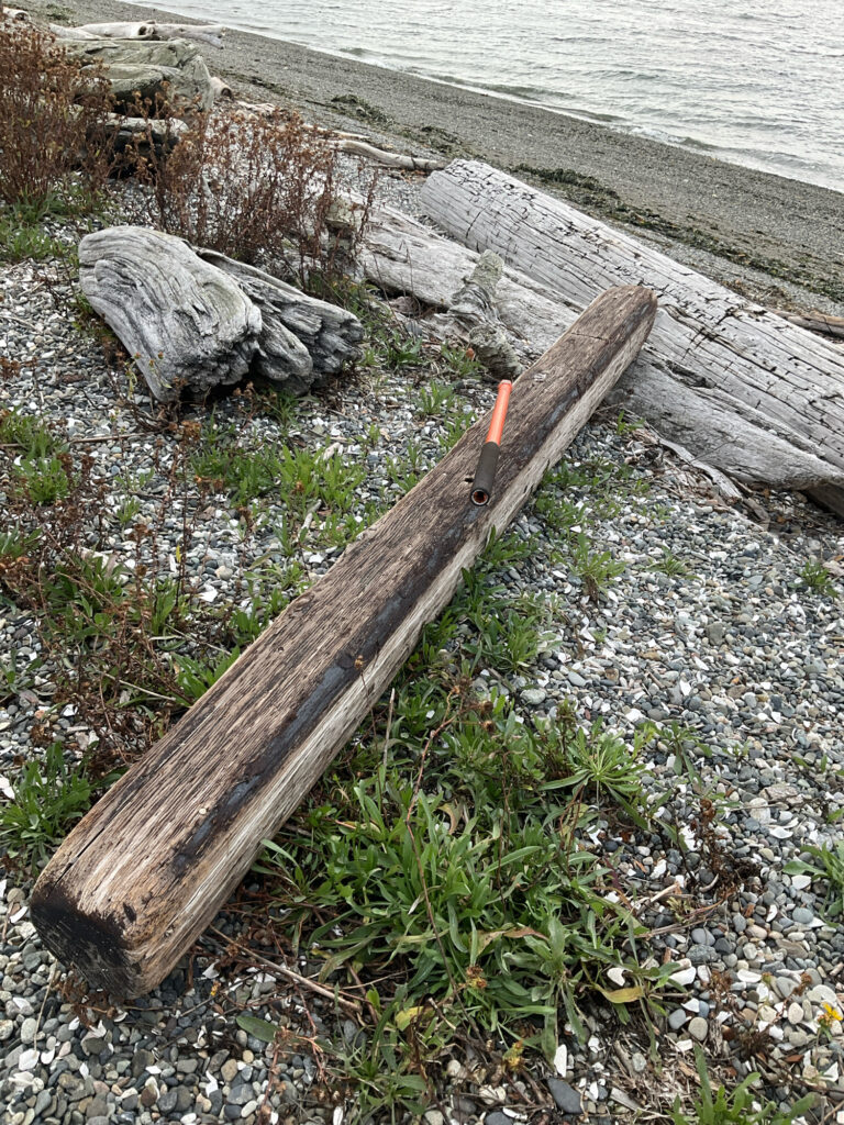 a wooden cross on a beach (MyCoast AI)