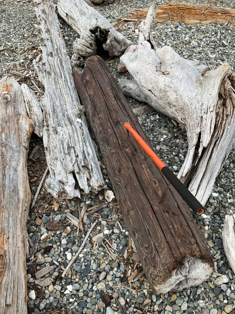 a tree trunk with a knife stuck in it (MyCoast AI)