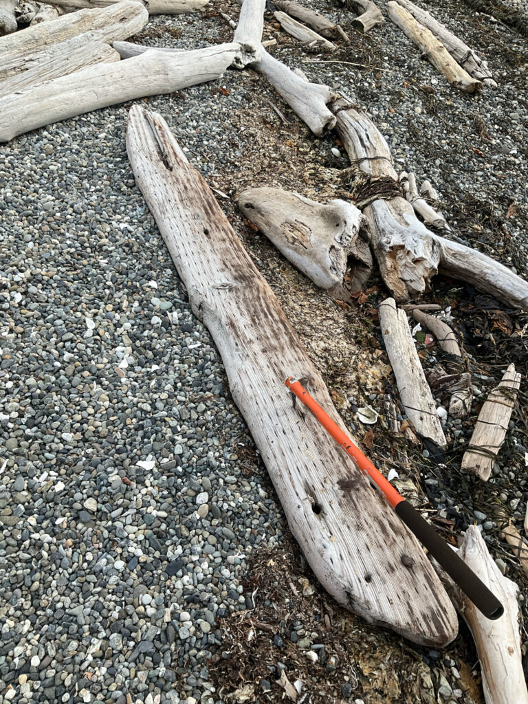a pile of wood and rocks (MyCoast AI)