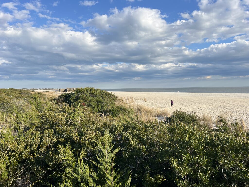 a person walking on a beach (MyCoast AI)