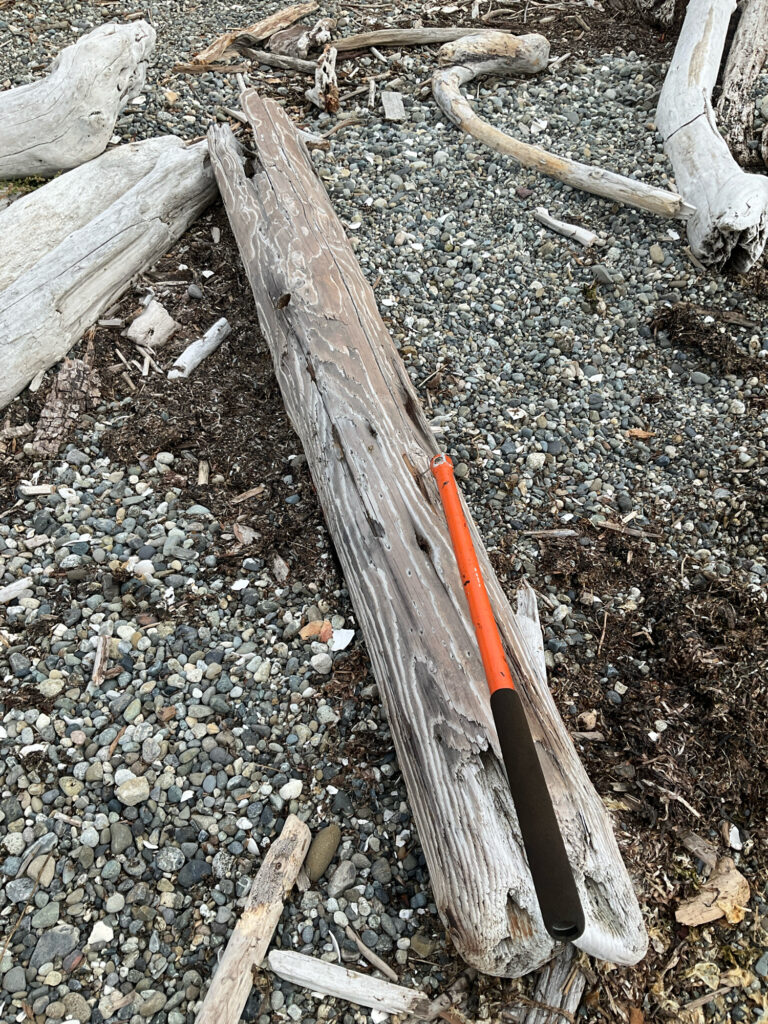 a wood pole on the ground (MyCoast AI)