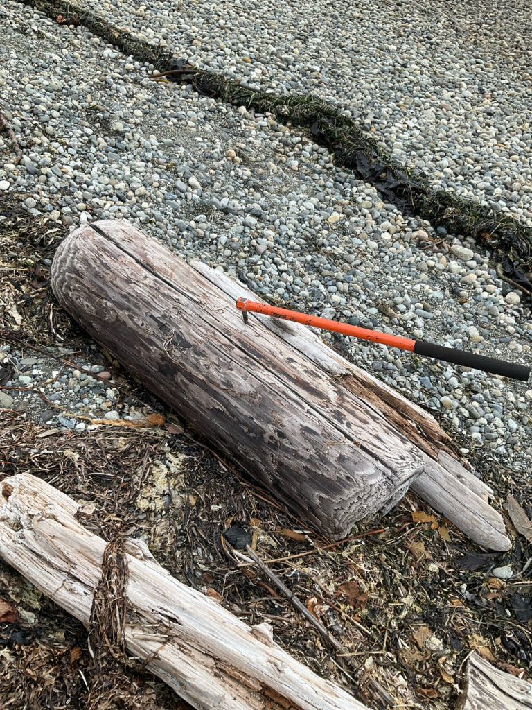 a wood axe on the ground (MyCoast AI)